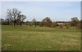 Pasture south of the River Weaver