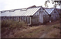 Tomato houses