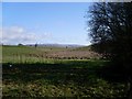 View to Campsie Fells from Kessington