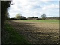 Field at Woodgates Farm