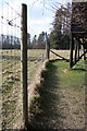 Deer enclosure fence, Ickworth Park