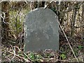 Neglected milestone with benchmark, Carmarthenshire