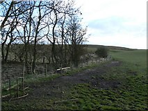 NO4808 : Well trodden field by James Allan