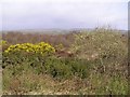 Ballynamullan Townland