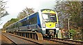 Train, Derriaghy station (2)