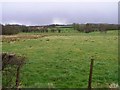 Cloghfin Townland