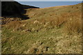 SN8046 : Rough grazing below Cefn Hafod-y-maen by Philip Halling