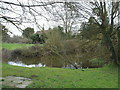 Pond behind Westerfield church