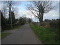 Lane with houses on one side only