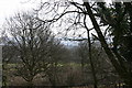 View of the mausoleum through trees from Hoober Stand