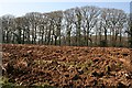 Freshly Ploughed Field in March