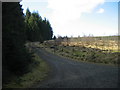 NY7793 : Forest Road, Kielder Forest by Les Hull