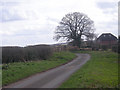 Quiet lane near Trescott