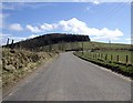 Bend in road by Mains of Shiels