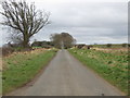 NT7143 : Minor road heading for Gordonbank Farm by James Denham