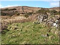 NS3779 : Remains of a structure near Poachy Glen by Lairich Rig