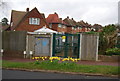 Daffodils in front of an electrical sub station