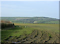 2009 : Pasture with Chew Valley beyond