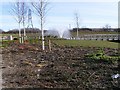 Cobalt Business Park South - Fountain and footbridge