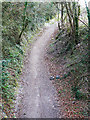 Former M&SWR trackbed, Marlborough