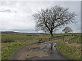 Minor Road, near Auchencloich Farms.