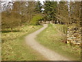 Footpath, Rowley Park