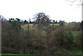 View south from Smockham Farm