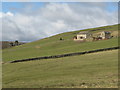 Pastures near West Garret