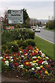 A38 road at Stonegallows.