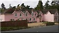 Pink houses