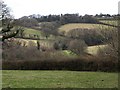 Liverton Brook valley