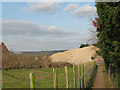 Ditton: footpath diversion around housing development