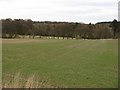 Looking down towards Lossley Burn