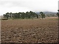 Fields near Butterwell