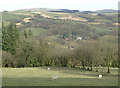 Farmland across the Twrch Valley, Carmarthenshire