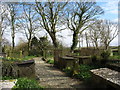 Box graves at Llandyfrydog Churchyard