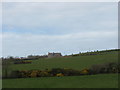 SH4587 : View across farmland towards the former Llandyfrydog Primary School by Eric Jones