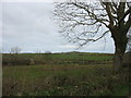 Grazing land at Penchwarel Farm