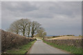 Neatly trimmed hedgerows lining the Llandow road