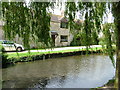 Duck pond, Sutton Poyntz