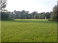 Cricket pitch, Newbold on Avon