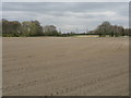 Fields Near Brookheyes Farm