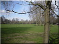 Ravenscourt Park  - view north