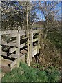 TQ6947 : Ditch footbridge by David Anstiss