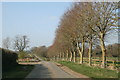 Tree lined road to Bruern