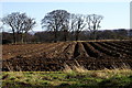 NT6280 : Farmland, Tyninghame by Mike Pennington