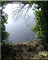 River Avon above Rock Mill, Leamington Spa