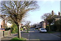 Acacia Road, Leamington Spa