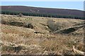 Looking Towards Muckle Black Hill