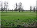 Reddish - Houldsworth Golf Course